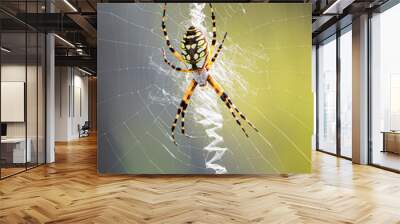 Garden Spider On Web Wall mural