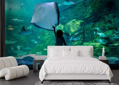 boy standing at aquarium with a stingray swimming by Wall mural