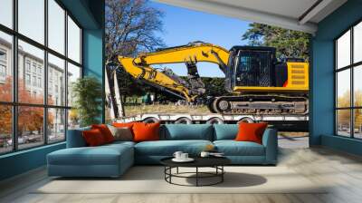  A large yellow digger is is delivered by transporter truck to a works site in Canterbury, New Zealand Wall mural