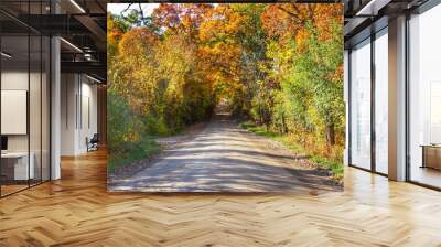 5009 - Harson Road in Fall II (5009-CRDS-101120-0318P) Wall mural