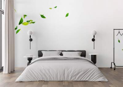 Collection of random green leaves falling in the air isolated on white background Wall mural