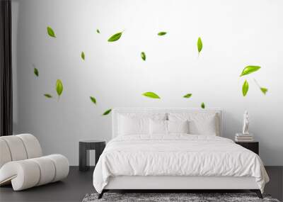 Falling green leaves on white background. Levitation concept Wall mural