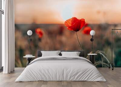 Open bud of red poppy flower in the field at mountainous countryside Wall mural