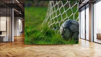 A soccer ball and a net on a soccer field Wall mural