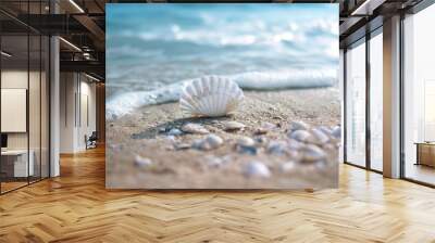 Seashells on the beach, island tourism concept, beach shell screen saver, advertising screen, public service advertisement Wall mural