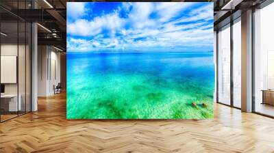 Emerald green ocean in Okinawa Wall mural