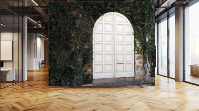 door as an architectural detail in the construction of buildings and structures. Wall mural