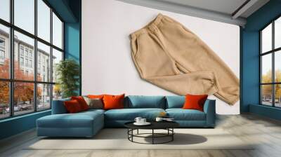 Sport sweatpants isolated on a white background Wall mural