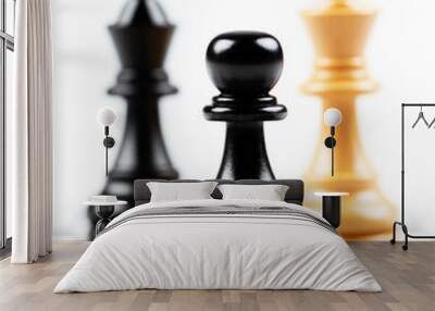 A close-up view of chess pieces on a board, featuring a black pawn and a golden king, symbolizing strategy and competition. Wall mural