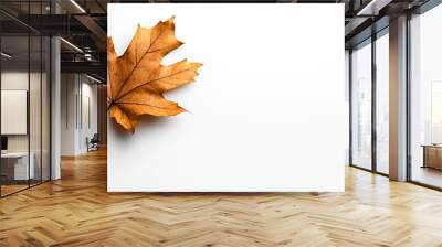 A single brown maple leaf on a white background. Perfect for autumn, nature, or seasonal themes. High-quality and aesthetically pleasing. Wall mural