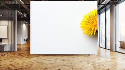 Bright yellow dandelion flower against a white background. Minimalistic nature theme with empty space on the left for text or design. Wall mural