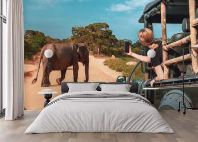 Wildlife safari.Eco travel in the jungle with wild animals elephants.Tropical tourism in the wild life of elephants.Road trip jungle,eco safari.Elephant wild life Wall mural