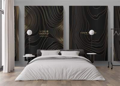 Modern elegant cover design set. Luxury fashionable background with black and gold line pattern. Elite premium vector template for menu, brochure, flyer layout, presentation Wall mural