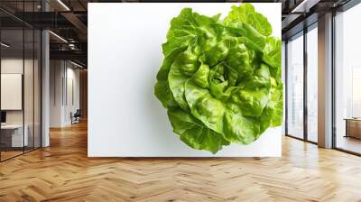 A close up of butterhead lettuce on isolated white background Wall mural