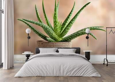 A green plant in a pot on white table Wall mural