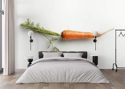 Carrot isolated on white background Wall mural