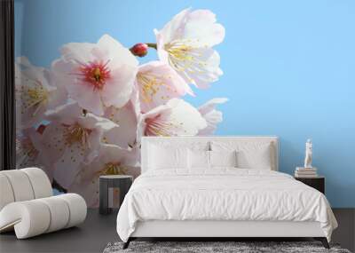 spring flowers on blue background Wall mural