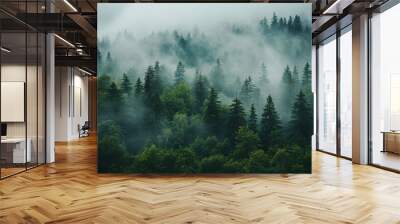 high angle shot of a foggy forest landscape Wall mural