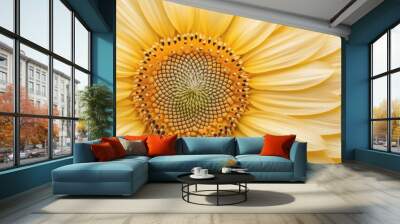 A close up of a yellow flower with a white center Wall mural