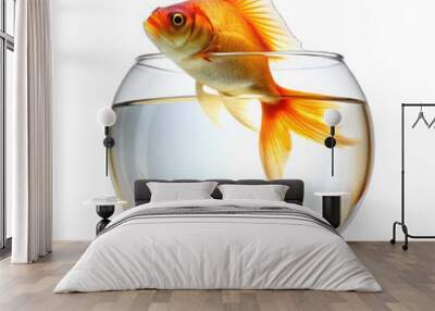 goldfish in a bowl isolated PNG Wall mural