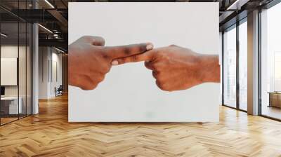 Two finger of different color touching each other. End Racism concept Wall mural