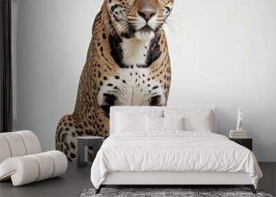 wild animal full body photo on isolated white background Wall mural