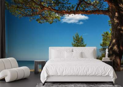 Sunny beach of the Baltic sea Wall mural