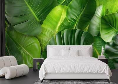 Close-Up of Banana Tree Leaves Macro Photography Wall mural