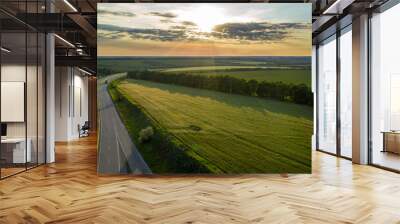 Aerial view photo of the road amid field. Flight over highway amid meadow on summer sunny day. Beautiful countryside landscape scenery from drone view. Wall mural