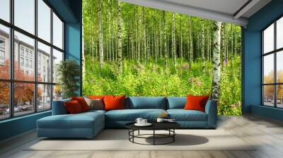 The beautiful nordic birch forest with fresh green grass and leaves. The detail of many black and white trunks during the sunny summer day.  Wall mural