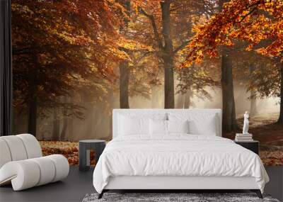 Misty autumn forest Wall mural