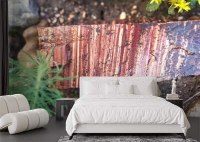 Natural mineral on the earth closeup Wall mural