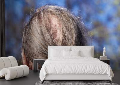 The back of the head with the hair tied into ponytail and a beginning bald spot Wall mural