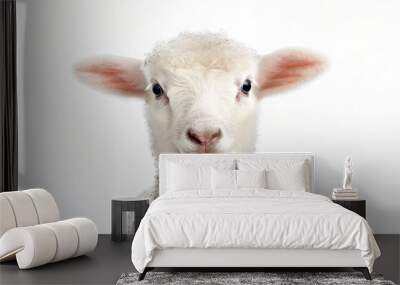  A young lamb on a white background - sheep - EID AL ADHA- Generative AI

 Wall mural