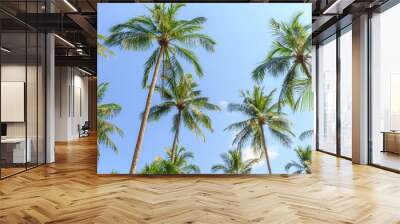 Coconut palm trees Wall mural