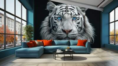 Beautiful white tiger face with blue eyes on black background majestic animal portrait for wildlife and nature enthusiasts Wall mural