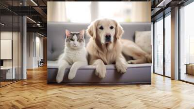 Dog cat friendly cute pet animal mammal Wall mural