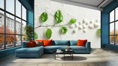 Leaves and stones on a light textured background showcasing natural beauty and serenity in a minimalist arrangement of greenery and white pebbles for a calming effect Wall mural