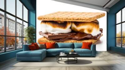 Marshmallow chocolate dessert snack treat sugar cookie sweet food roasted Wall mural