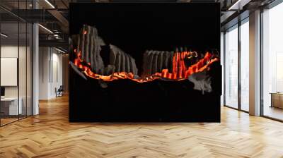 Burning paper on black background,Burnt paper edges. Wall mural