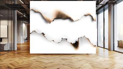 Burning paper on white paper with shadow,text copy space. Wall mural