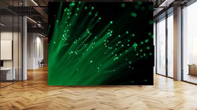 Close up of abstract background fiber optics,internet communication concept Wall mural