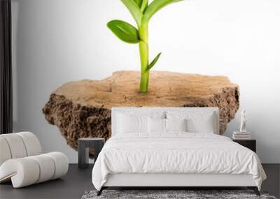 Plant Tree growing on a floating island on white Wall mural