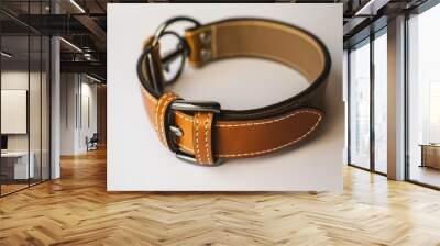 Brown leather dog collar lying on white background Wall mural