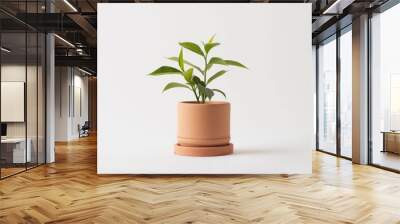 Small green plant growing in a terracotta pot on white background Wall mural