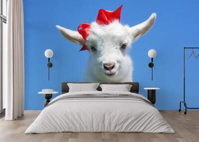 young baby goat with red bow-knot Wall mural