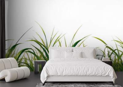 green grass border with transparent background for banner decoration  Wall mural