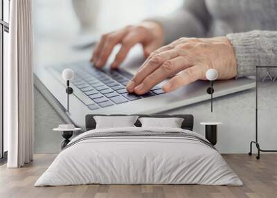 Hands of a woman senior work at a laptop close-up using modern technology in everyday life. Wall mural