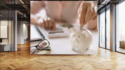 Hands of old women's put money coins in a piggy Bank, the concept of retirement. Wall mural