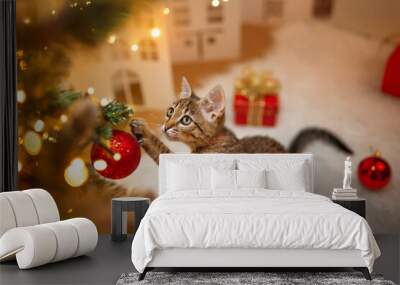 A cat plays with red ball of a decorated Christmas tree Wall mural